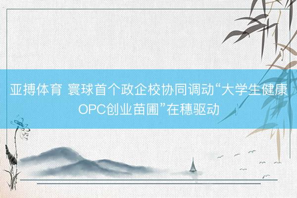 亚搏体育 寰球首个政企校协同调动“大学生健康OPC创业苗圃”在穗驱动