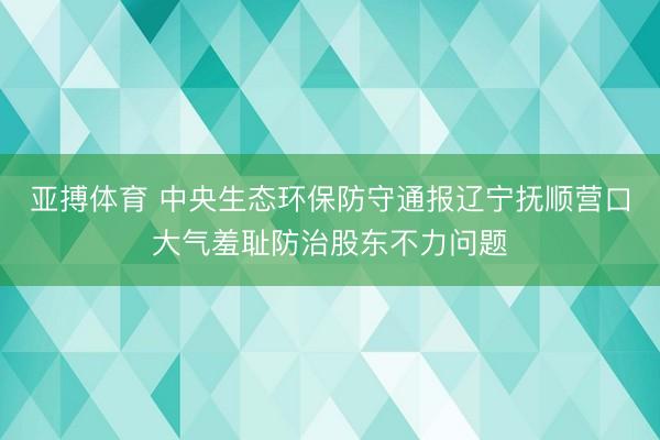 亚搏体育 中央生态环保防守通报辽宁抚顺营口大气羞耻防治股东不力问题