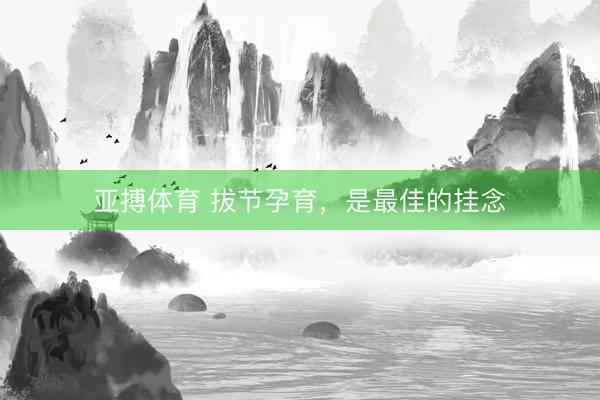 亚搏体育 拔节孕育，是最佳的挂念