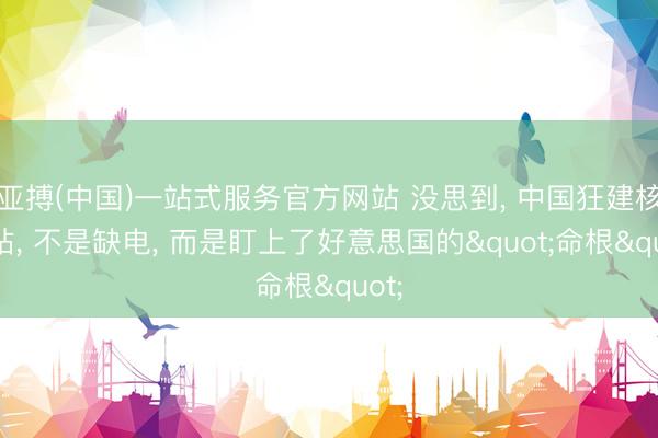 亚搏(中国)一站式服务官方网站 没思到， 中国狂建核电站， 不是缺电， 而是盯上了好意思国的"命根"