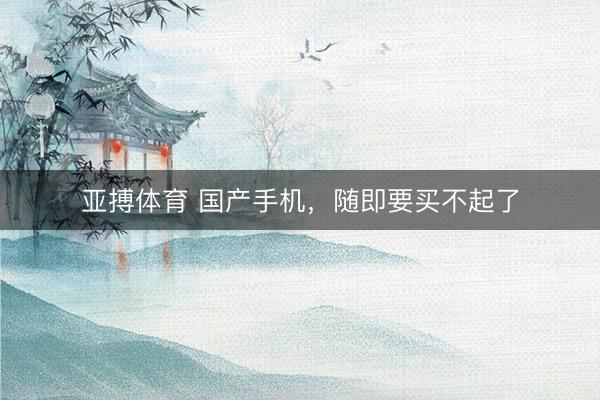 亚搏体育 国产手机,随即要买不起了