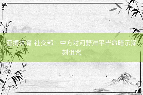 亚搏体育 社交部：中方对河野洋平毕命暗示深刻诅咒
