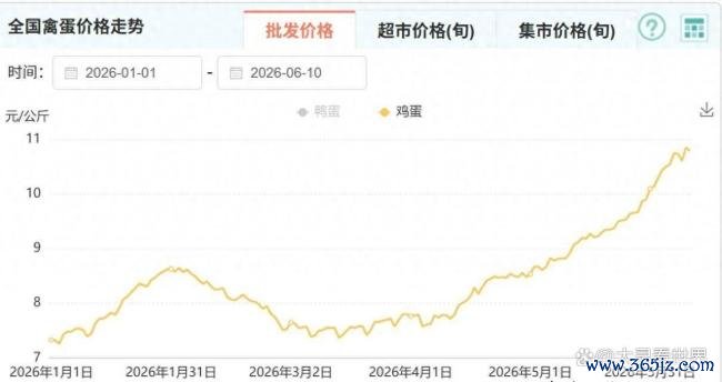 鸡蛋为什么初始“贵过肉” 供需错配推高价钱